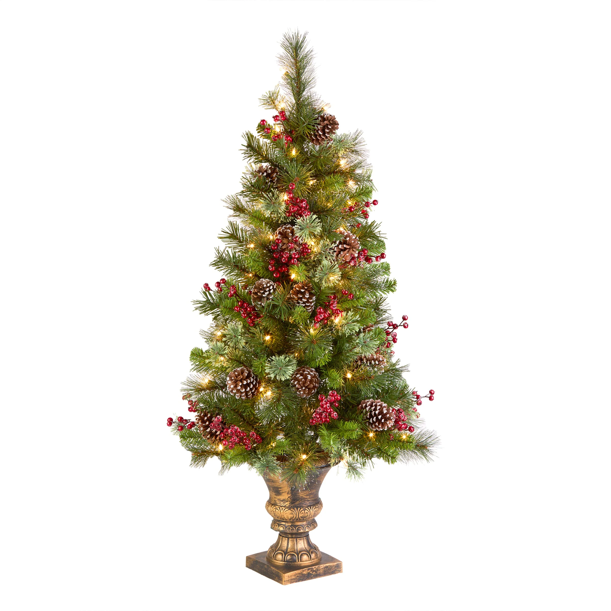 Christmas Trees on Sale